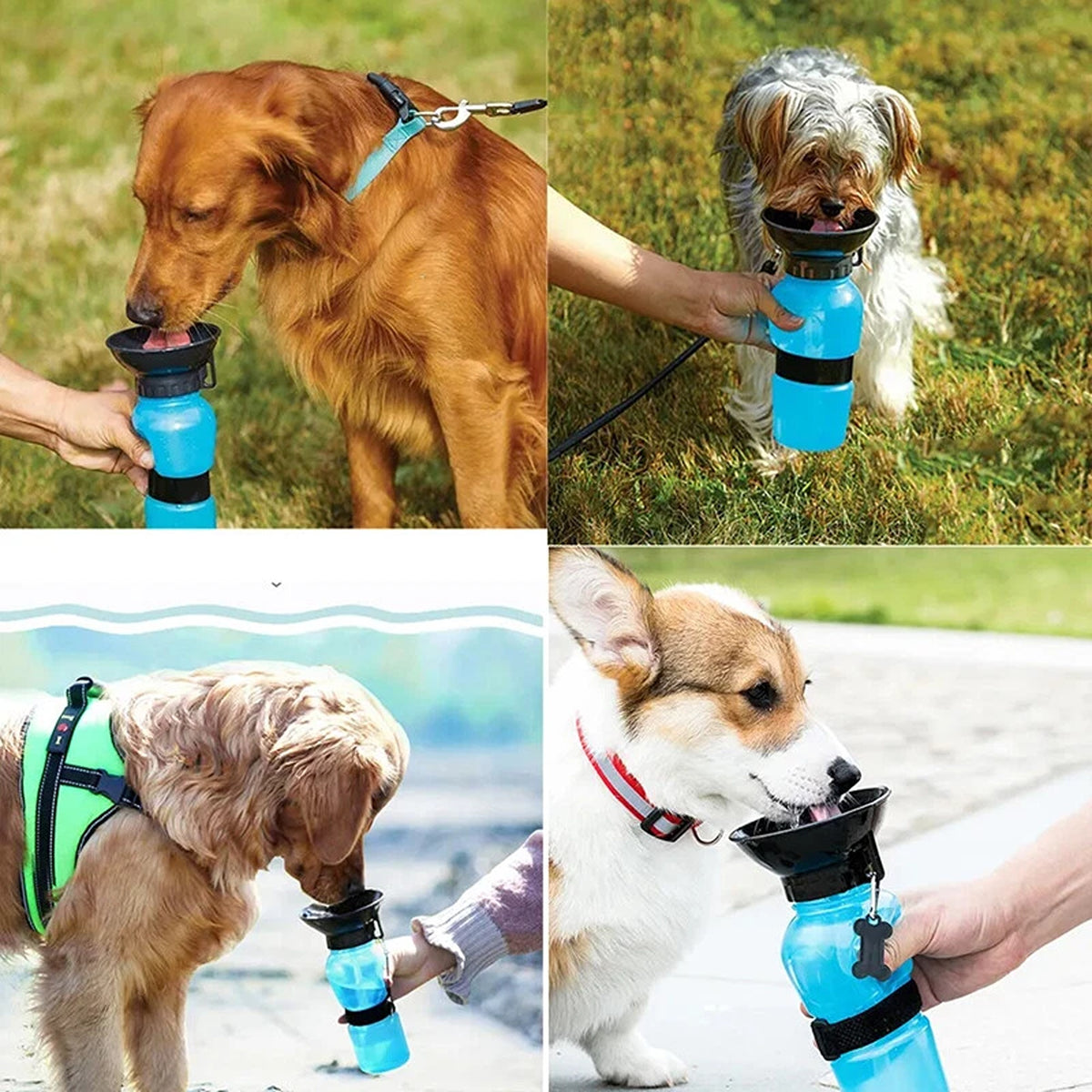 Portable Dog and Cat Water Bottle Detachable Travel Pet Feeder