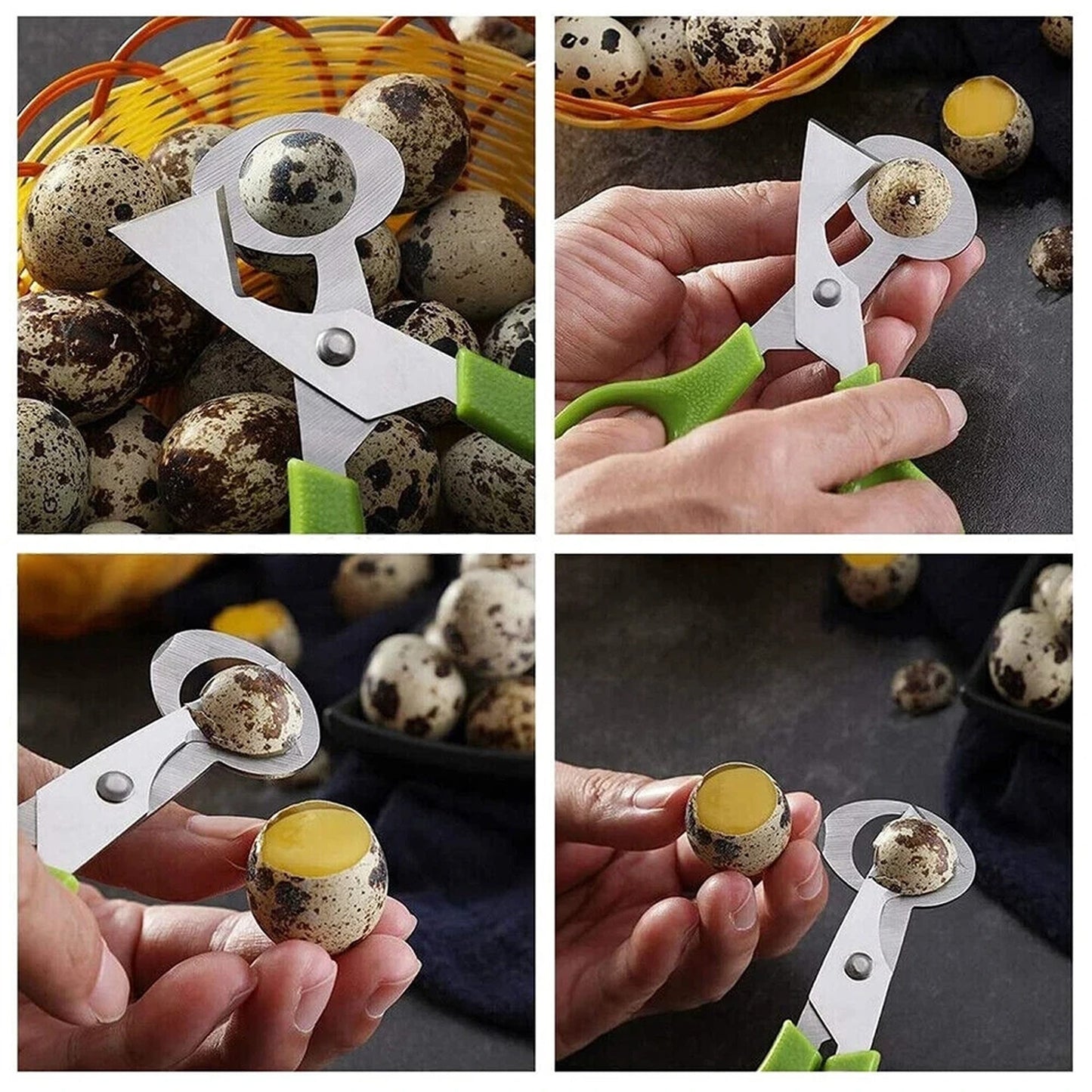 Stainless Steel Pigeon Quail Egg Scissor Birds Eggshell Cut Opener Creative