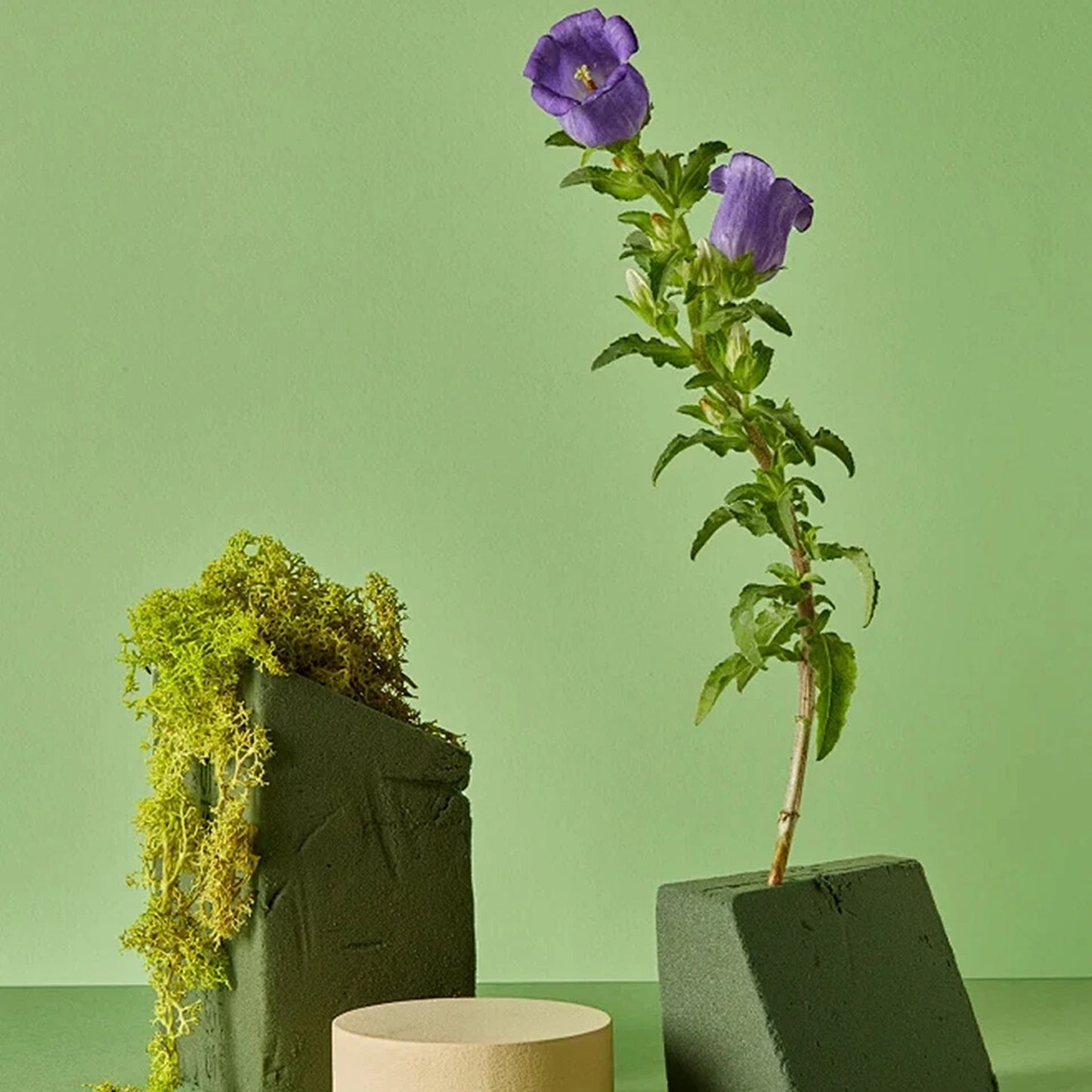 2 Piece Floral Foam Blocks for Fresh and Artificial Flowers