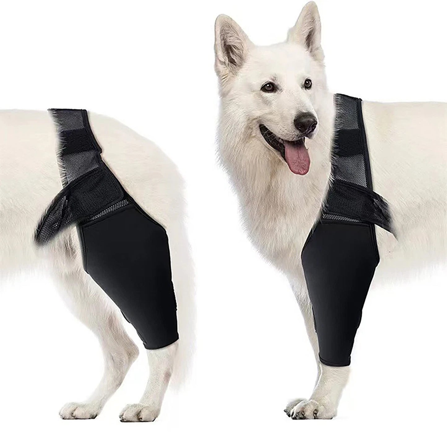 Dog Leg Support Brace for Front and Rear Legs