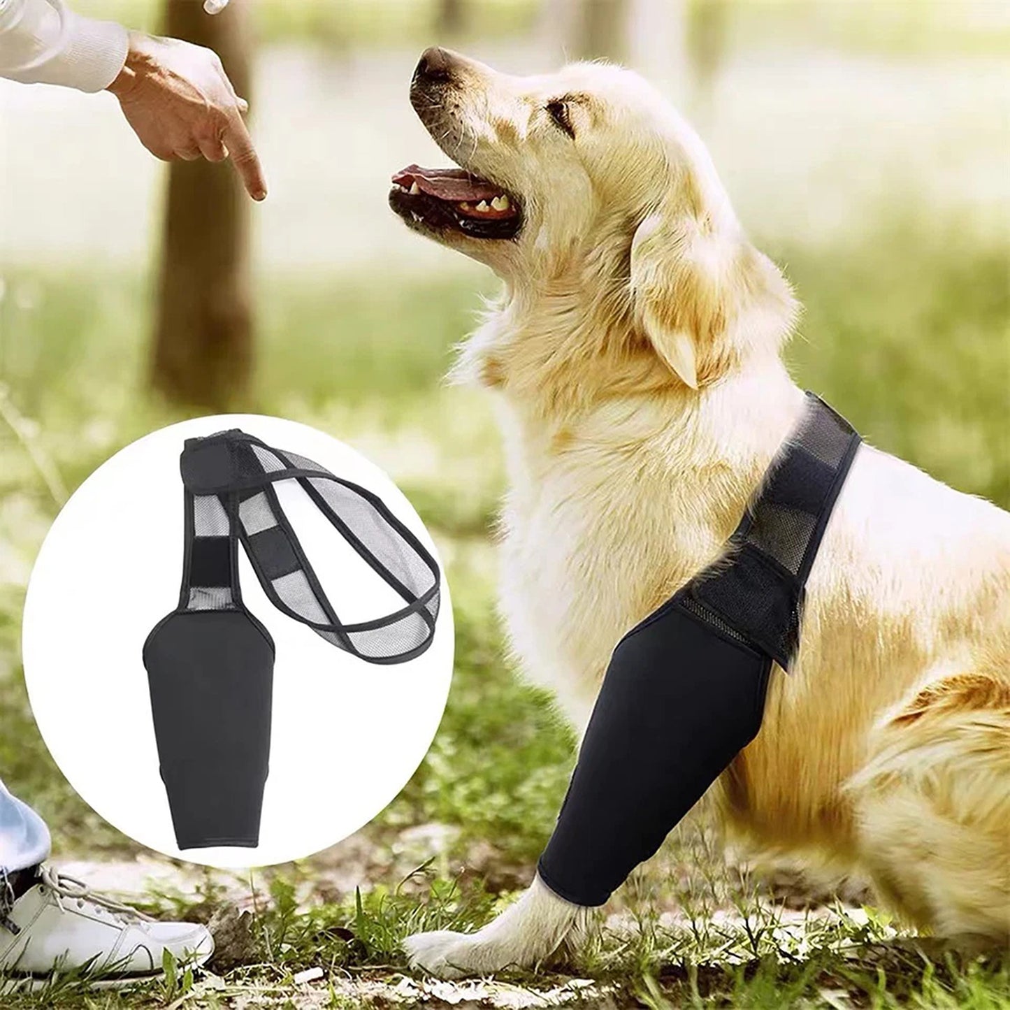 Dog Leg Support Brace for Front and Rear Legs