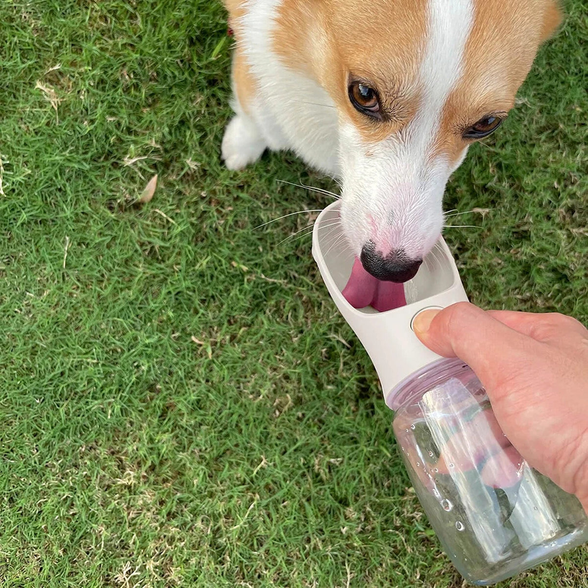 550ML Portable Pet Water Bottle for Dogs and Cats Travel Drinking Cup