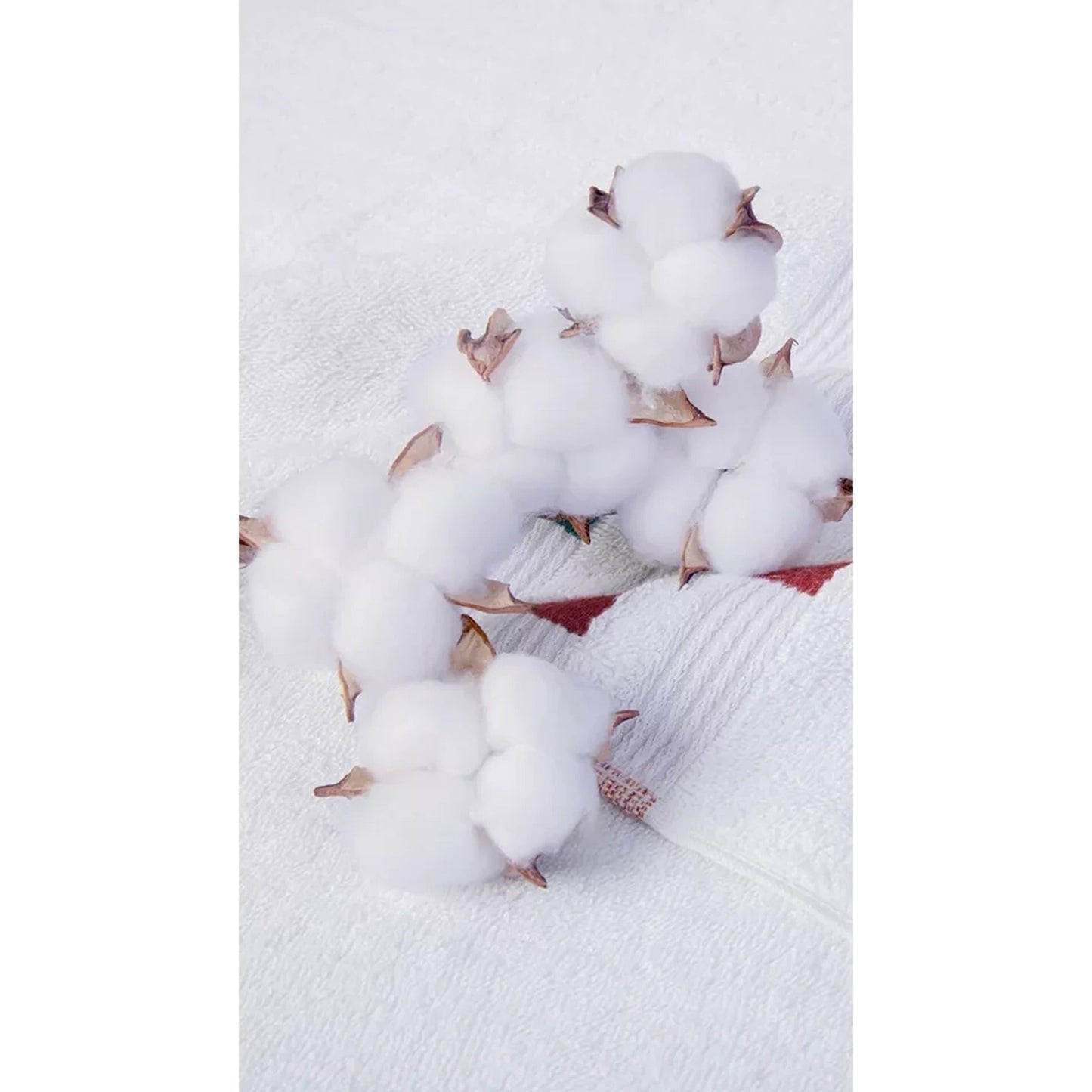 White Soft and Absorbent Luxury Cotton Towel Set 550 GSM