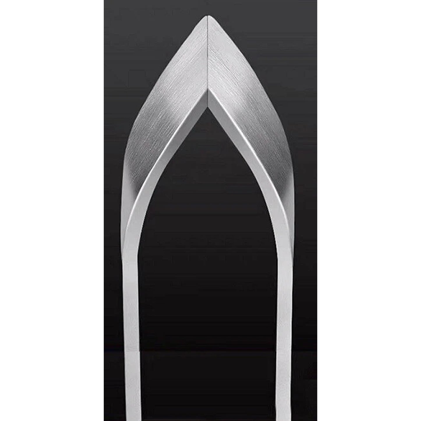 2 Piece Stainless Steel Fish Bone Remover Tweezers