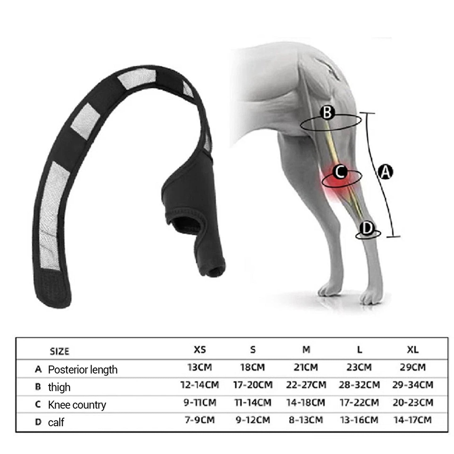 Dog Leg Support Brace for Front and Rear Legs