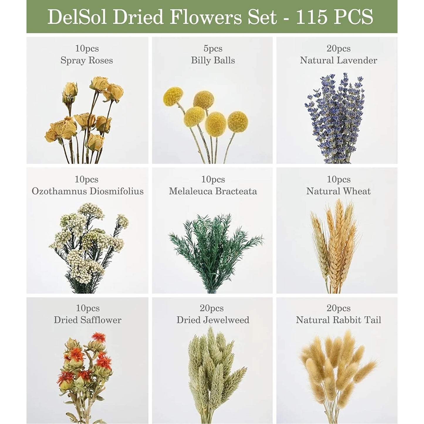 Natural Dried Flower Bouquet with Stems for Home Decor